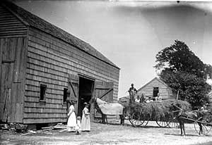 Hay wagon and barn at Cook farm